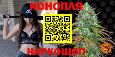 дмт Можайск